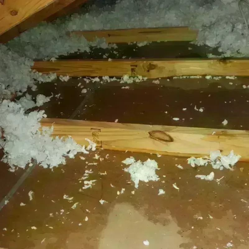 Attic Water Damage in Paradise, CA