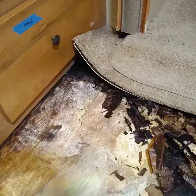 Wood Floor Water Damage in Paradise, CA